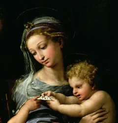 La Virgen de la Rosa, c.1518 (detalle)